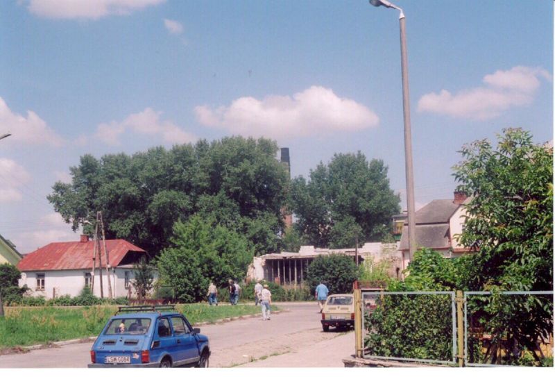 trawniki -view from station